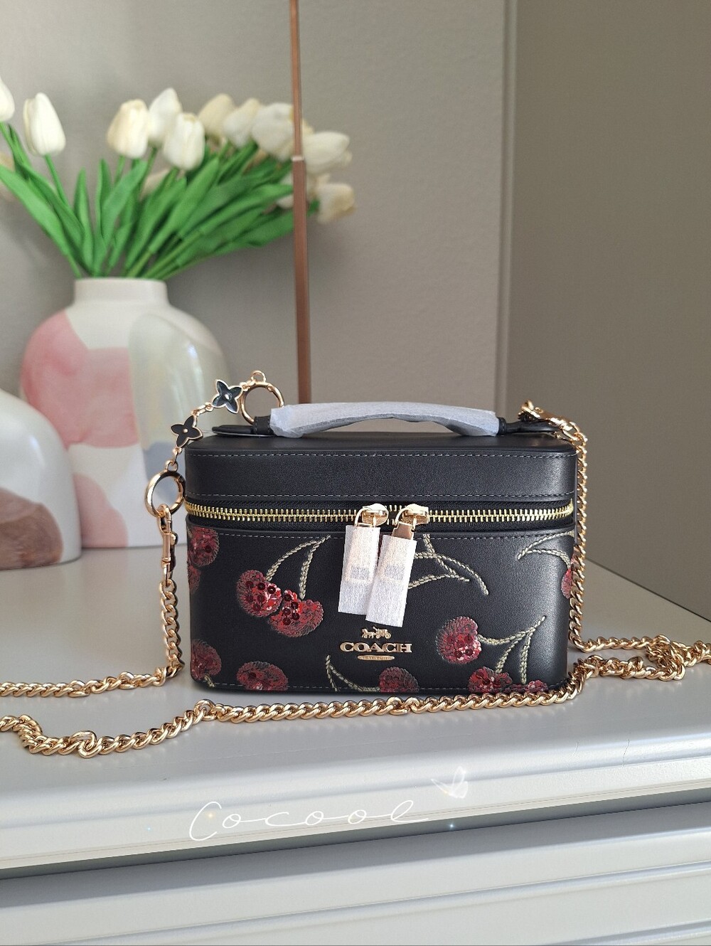 NWT COACH Cosmetic Case With Cherry Print（CDC13）Plus Crossbody Chain